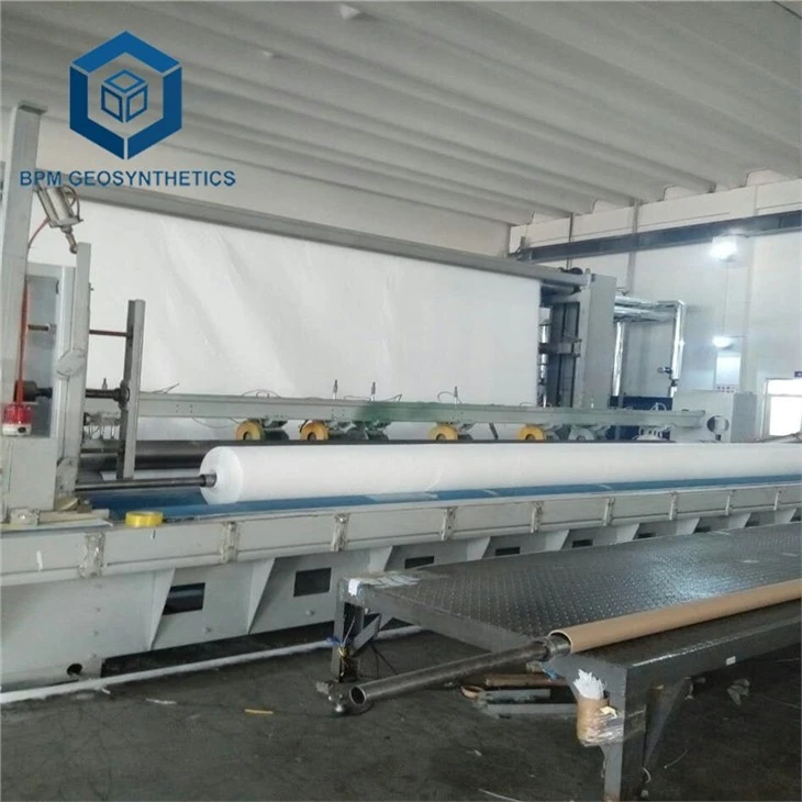 Polyester woven geotextile (2)